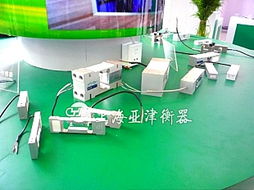亚津传感器秤 100t称重磅与河南模块秤的计算机软硬件技术开发